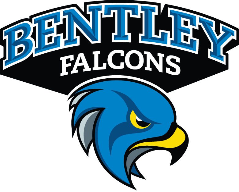Bentley Falcons 2013-Pres Secondary Logo iron on transfers for clothing